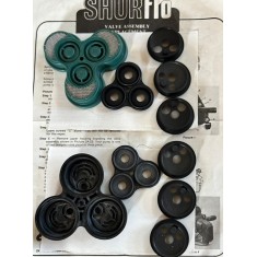 Kit valvole OEM SHURFLO ricambio per pompe 200, 205, 220